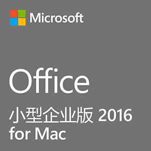 Office小型企業(yè)版 