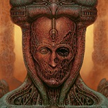 蔑視修改器修改器Gamebuff