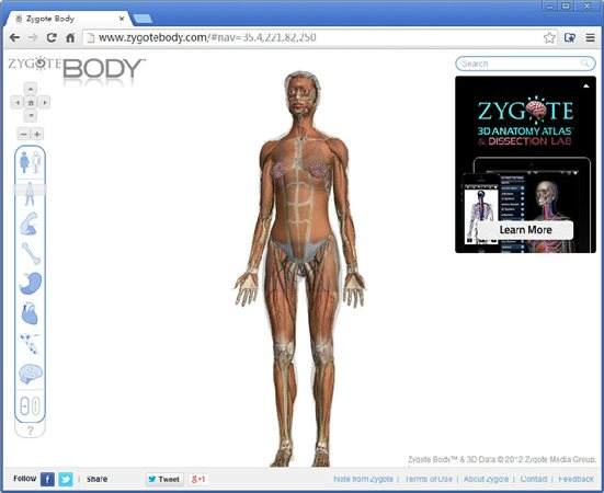 谷歌人體瀏覽器