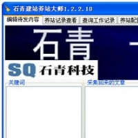 建站養(yǎng)站大師