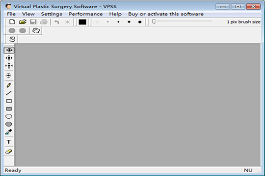 Virtual Plastic Surgery Software