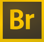 Adobe Bridge CS5